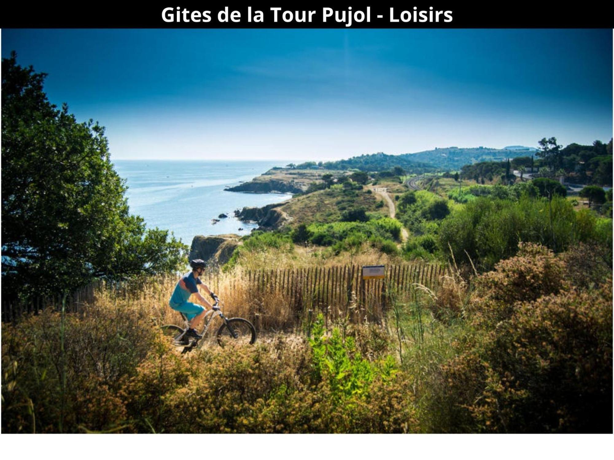 Les Gites De La Tour Pujol Argelès-sur-Mer Esterno foto