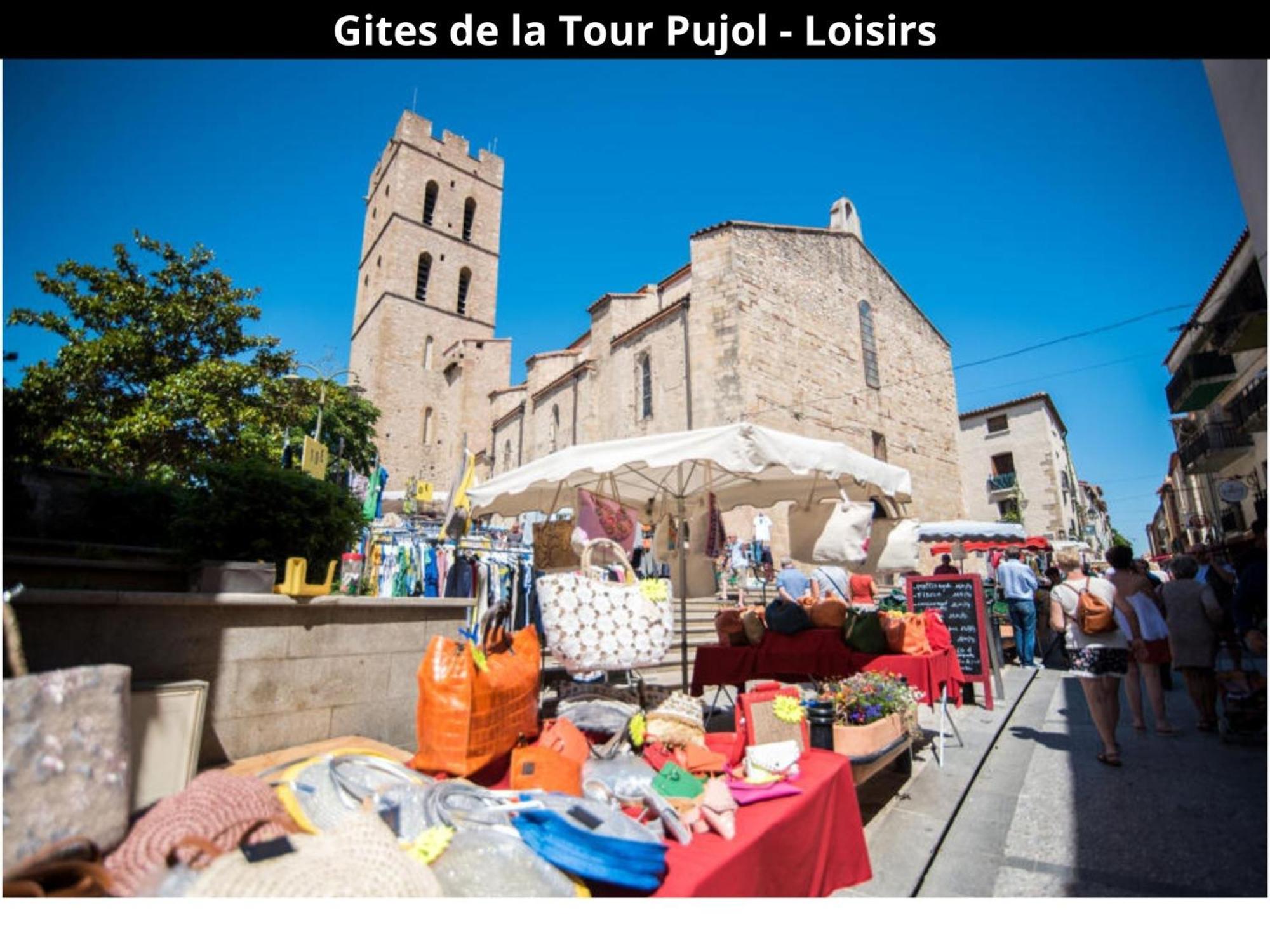 Les Gites De La Tour Pujol Argelès-sur-Mer Esterno foto