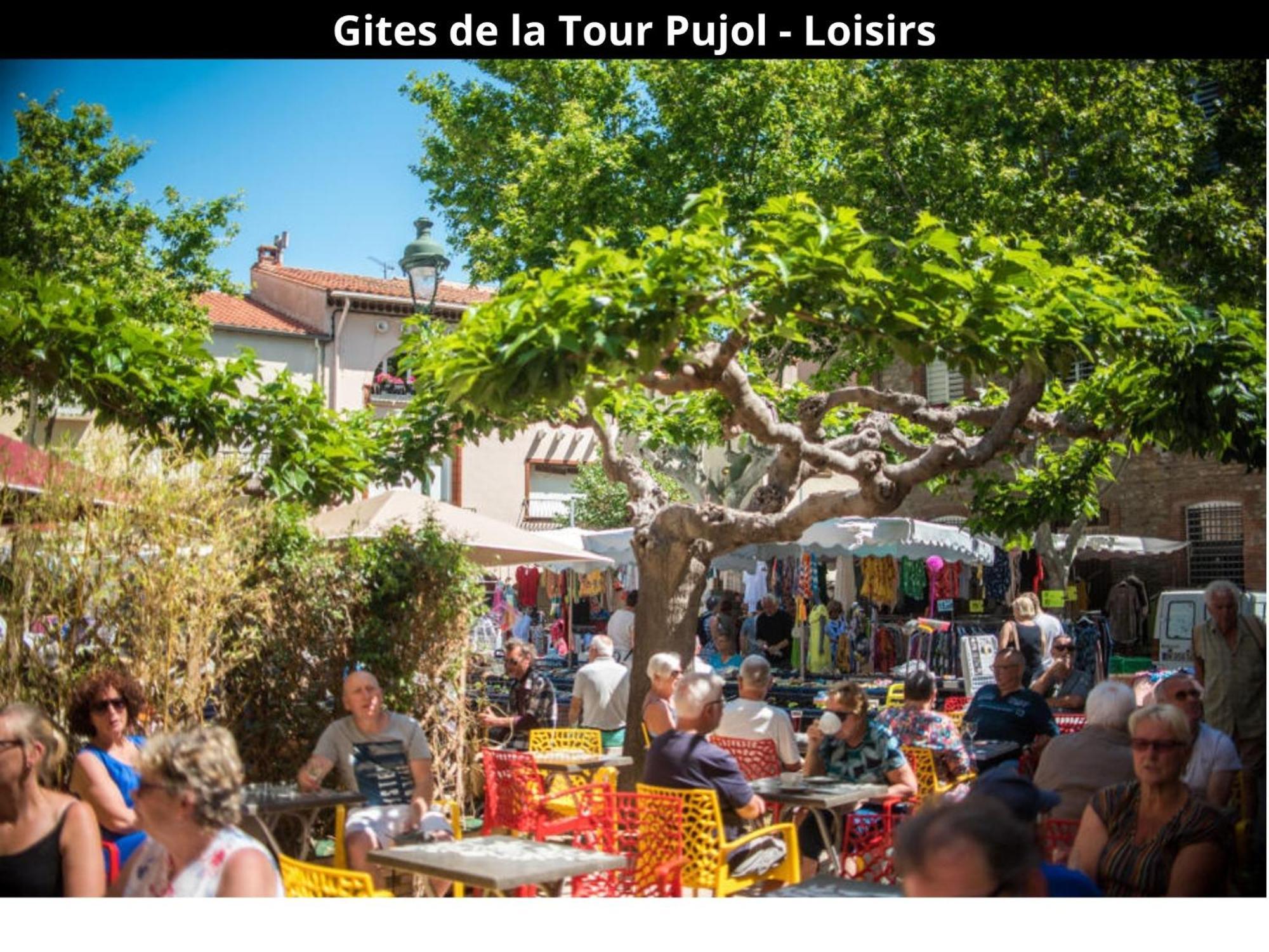 Les Gites De La Tour Pujol Argelès-sur-Mer Esterno foto