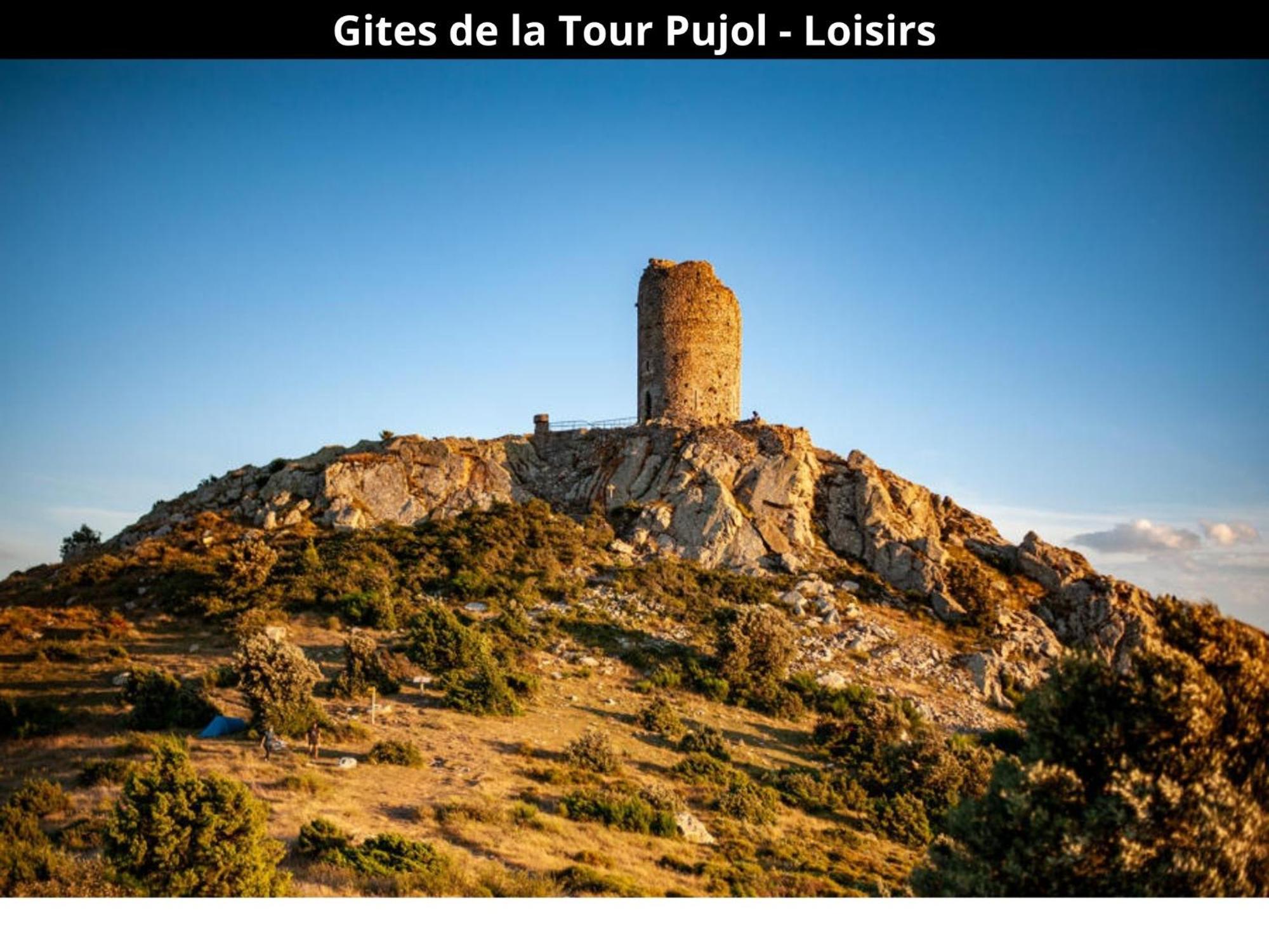 Les Gites De La Tour Pujol Argelès-sur-Mer Esterno foto