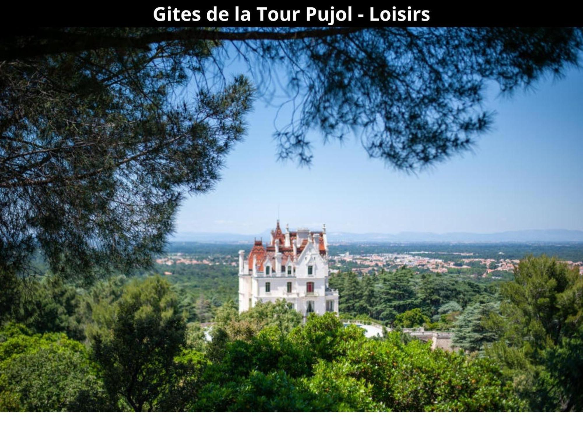 Les Gites De La Tour Pujol Argelès-sur-Mer Esterno foto