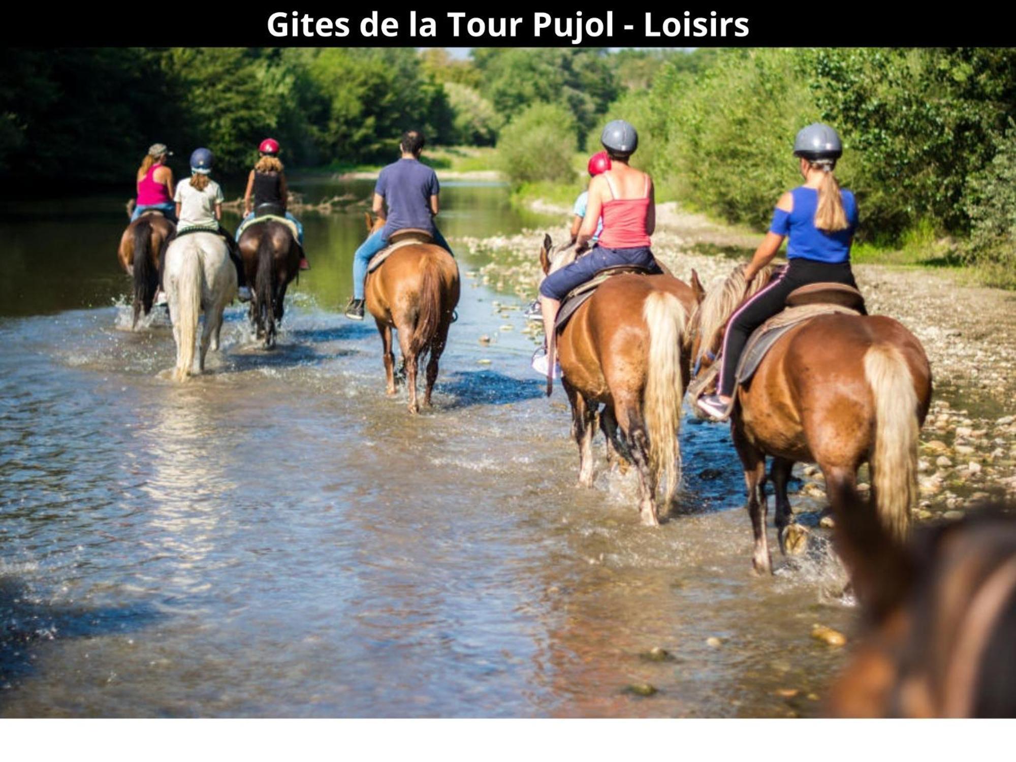 Les Gites De La Tour Pujol Argelès-sur-Mer Esterno foto