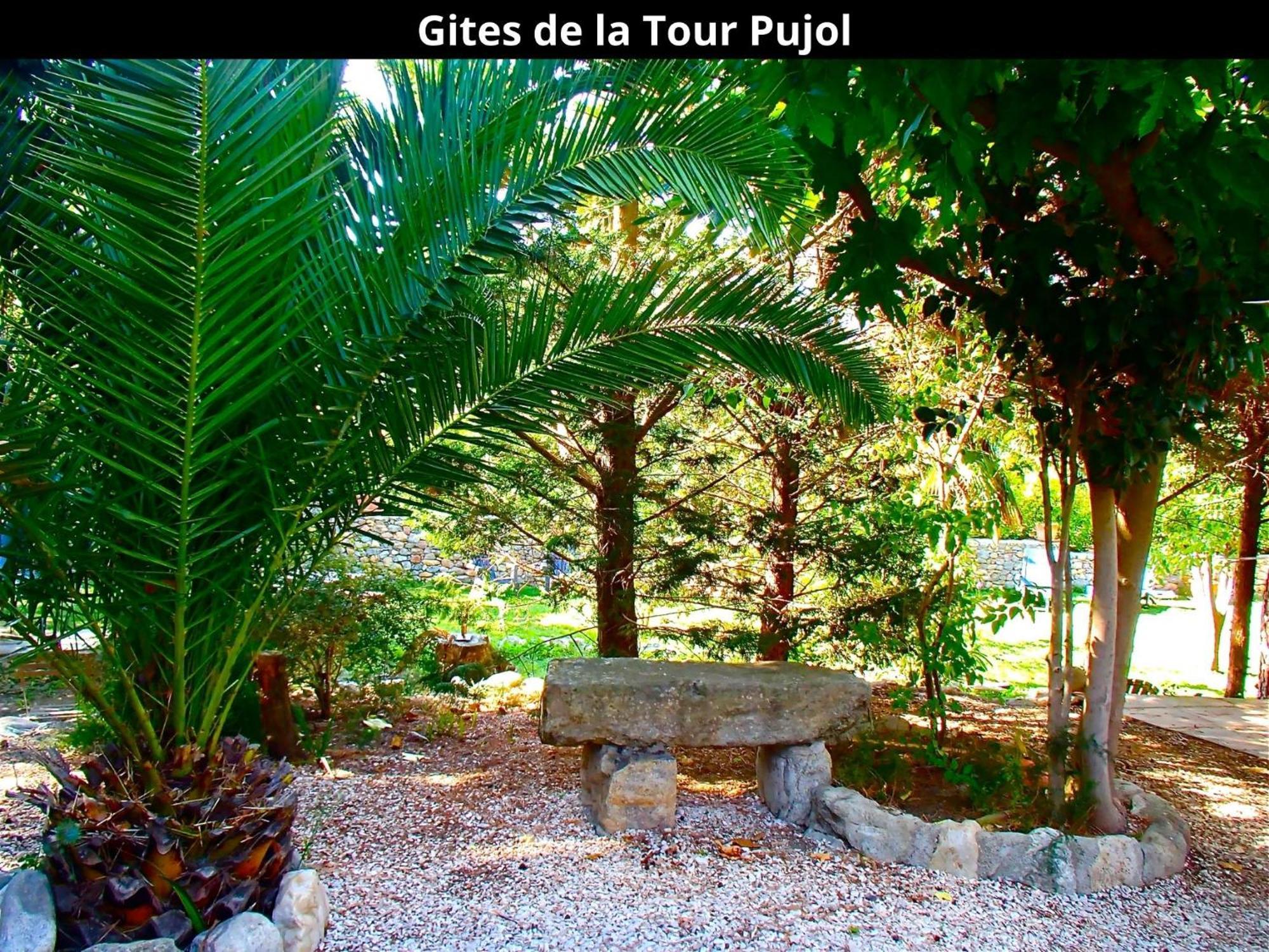 Les Gites De La Tour Pujol Argelès-sur-Mer Esterno foto