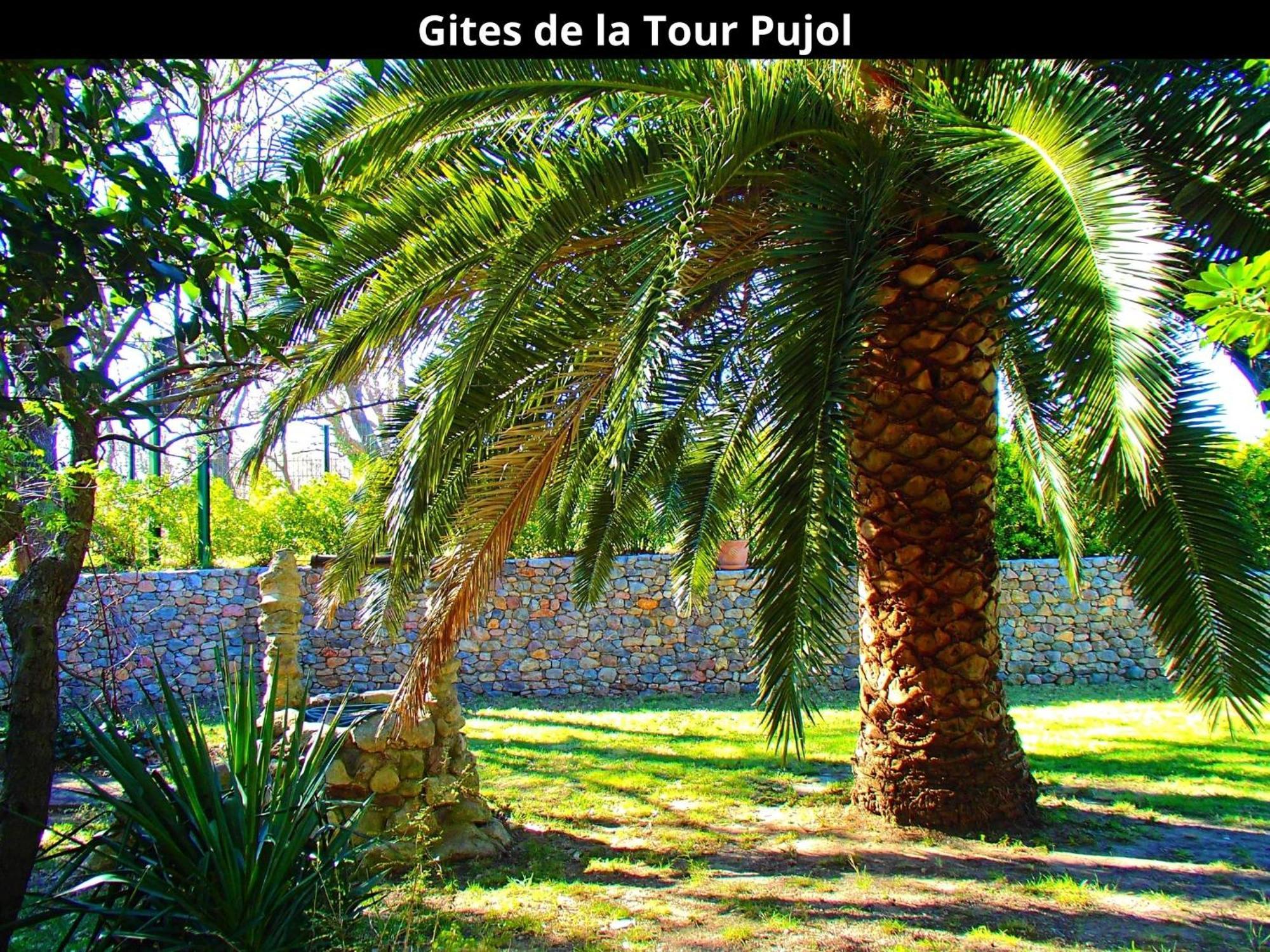 Les Gites De La Tour Pujol Argelès-sur-Mer Esterno foto