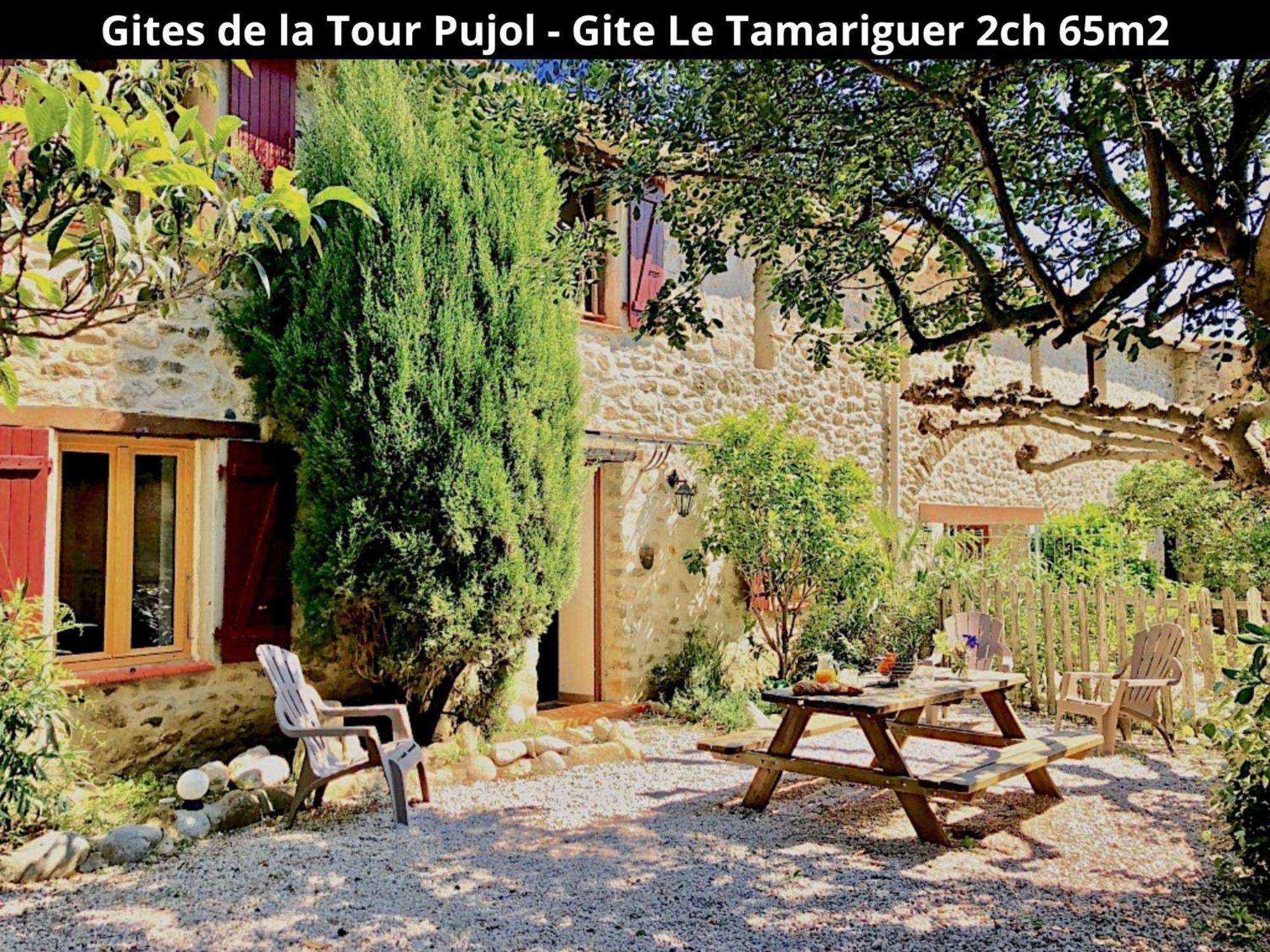 Les Gites De La Tour Pujol Argelès-sur-Mer Esterno foto